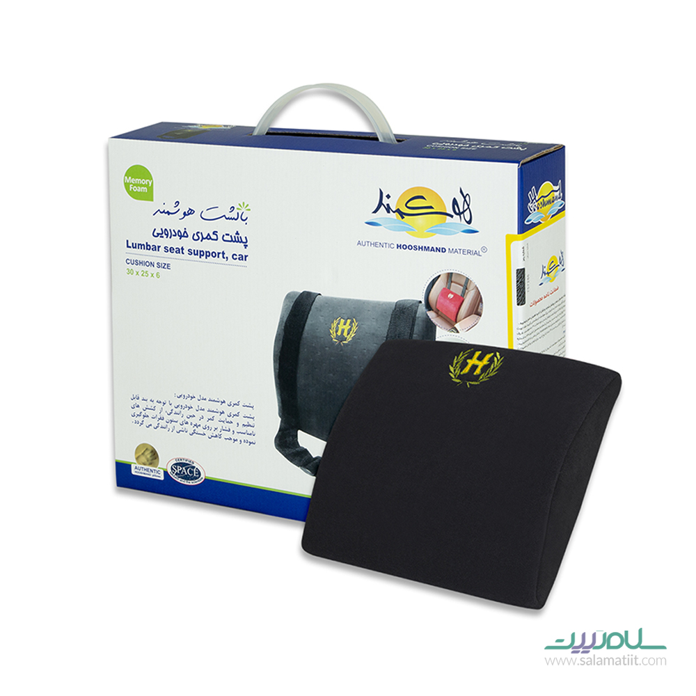 پشتی هوشمند